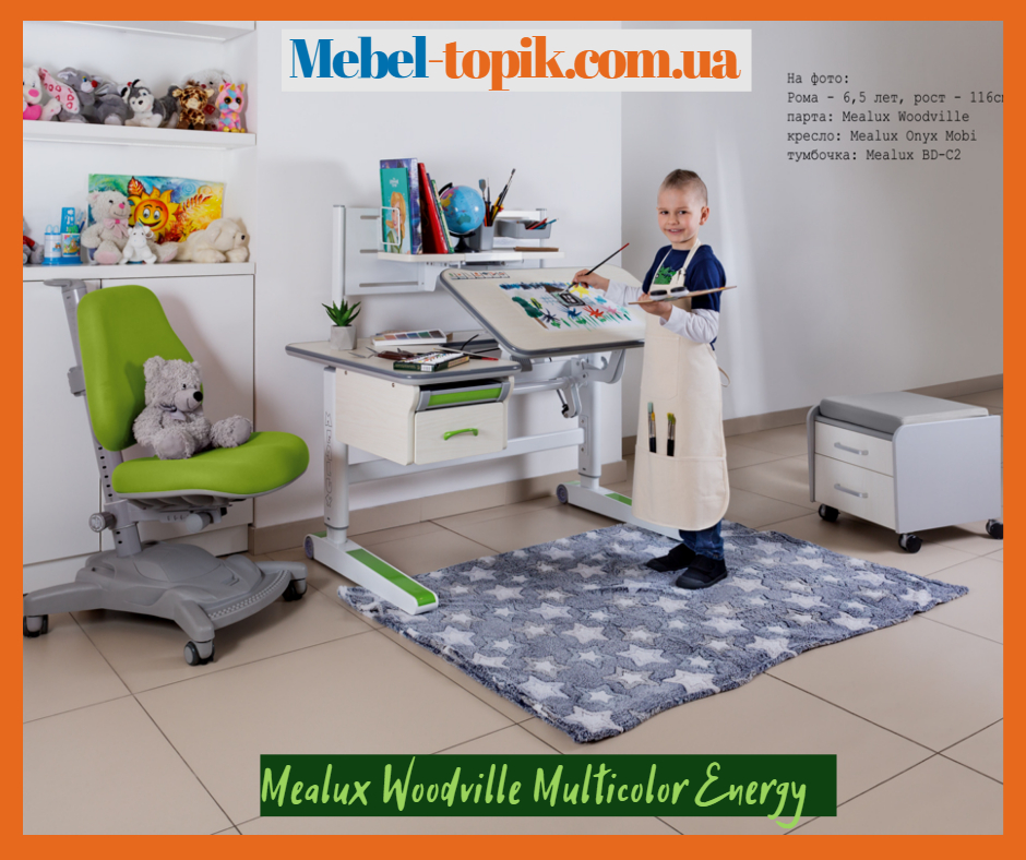 Детский стол Mealux Woodville Multicolor Energy
