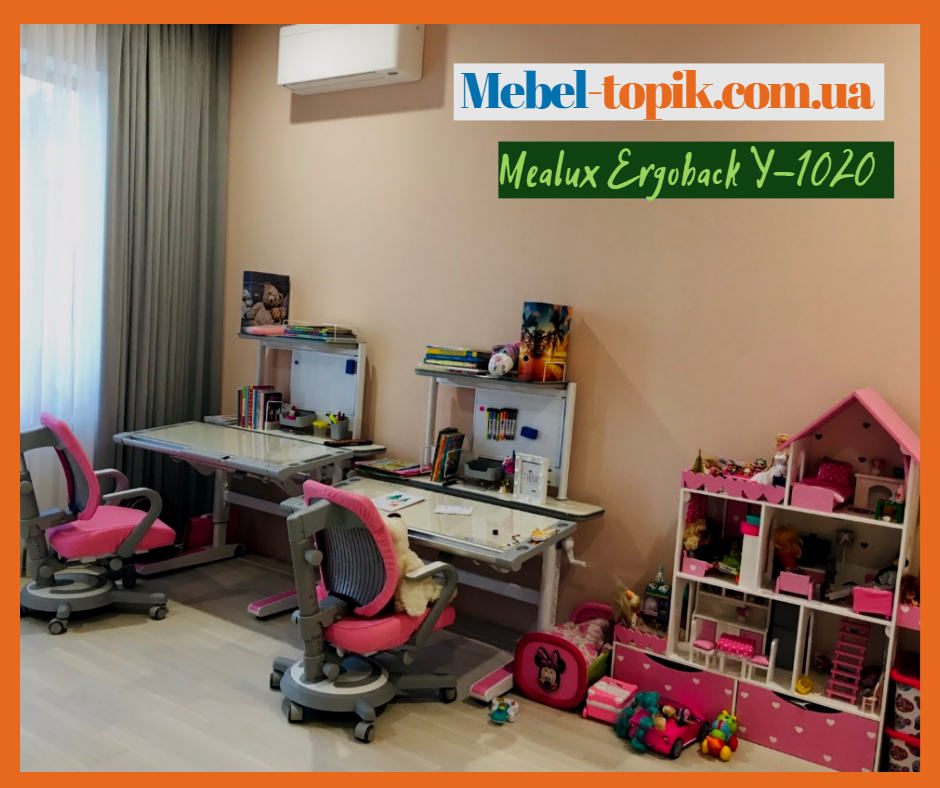Детское ортопедическое кресло Mealux Ergoback фото