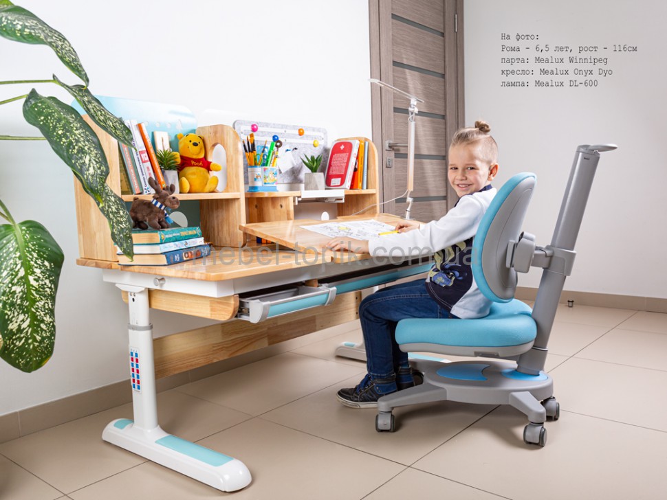 Детский стол Mealux Winnipeg Wood BD-640
