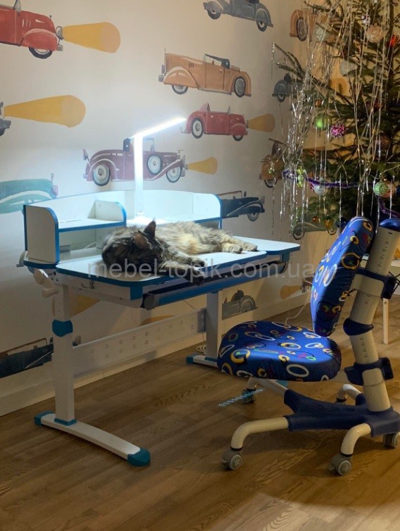Детское ортопедическое кресло Mealux Champion Y-718 
