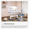 Комплект парта та стільчик Nemo Peach BD-38