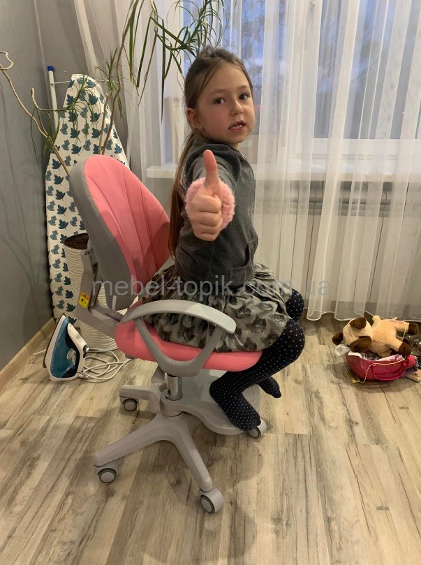 Дитяче крісло Evo-Kids Mio Y-407
