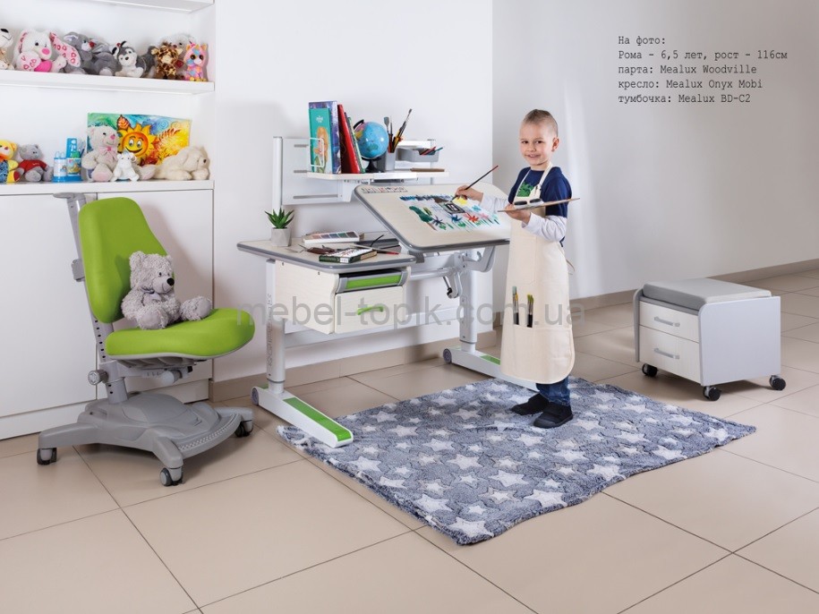 Дитячій стіл трансформер Mealux Woodville Multicolor Energy BD-850