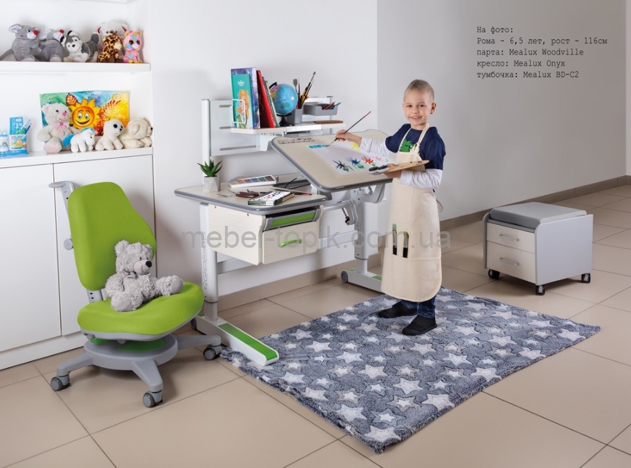 Дитячій стіл трансформер Mealux Woodville Multicolor Energy BD-850