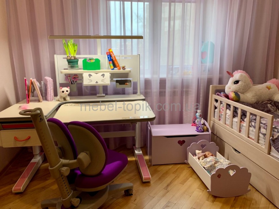 Дитячій стіл трансформер Mealux Woodville Multicolor Energy BD-850