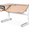 Дитячій стіл трансформер Mealux Woodville Multicolor Energy BD-850